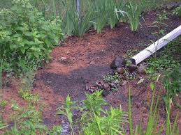 Learn how to create a rain garden in your yard or landscape with this guide from the despite the berms, sometimes heavy rainfall will make your rain garden overflow. How To Build A Rain Garden 6 Steps Lawnstarter