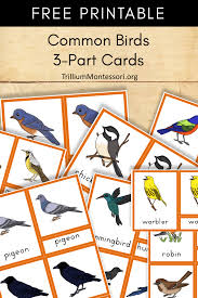This page shows you all of the categories for my printables. 590 Montessori Free Printables Downloads Ideas In 2021 Montessori Montessori Printables Montessori Activities