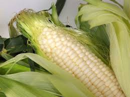 Maybe you would like to learn more about one of these? Growing Baby Corn In Containers Terrace Balcony Gardening Tips