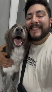 Todos piensan que perrito Chihuahua es muy agresivo!!