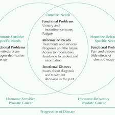 This advanced technology enables our highly experienced physicians to perform minimally invasive procedures for prostate cancer using smaller incisions, more detailed images inside the body, and precise control of the instruments. Pdf The Supportive Care Needs Of Men With Advanced Prostate Cancer