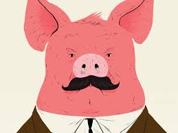 Risultati immagini per porco