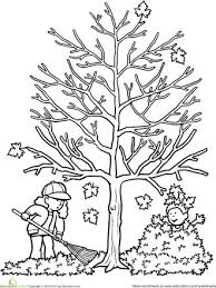 Tree without leaves coloring page. Autumn Tree Worksheet Education Com Tree Coloring Page Fall Coloring Pages Autumn Trees