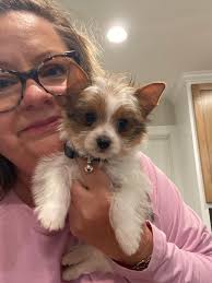 Sweetpea and little Tutor. He is so precious and really smart already.