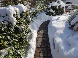 Welche gartenarbeit im winter besonders wichtig ist, erfahren sie hier. Garten Im Winter Pflanzen Schutzen Und Baume Schneiden