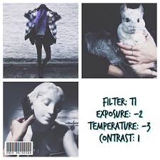 Best Black And White Instagram Feed Vsco Filters For Black And White Instagram Feed With Images Vsco Filter Best Vsco Filters Photo Editing Vsco