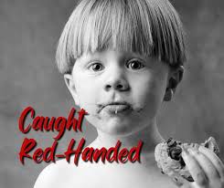 Hiding from the wrath of predaking