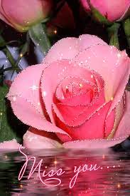 Pink and red carnations can both be used. 16 I Miss You Ideas Miss You I Miss You Miss