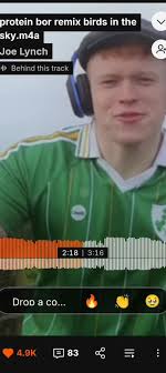 Bird in The Sky Protein Bor Lyrix