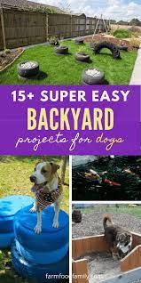 2) digging holes in the garden. 24 Great Dog Friendly Backyard Landscaping Ideas Designs For 2021