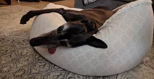Na mira do inimigo, greyhound: Greyhound Wikiwand