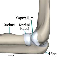 The elbow acts as a connector between the upper arm and forearm. Conditions And Treatments