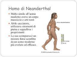 Uomo di neanderthal tappa fondamentale. Copy Of L Uomo Di Neanderthal Lessons Blendspace