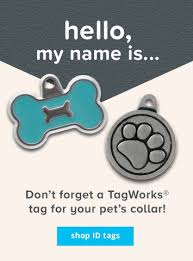 Traditional dog id tags can be attached to your pet's collar with a split ring. Puppy Collars Personalized Dog Collars Petsmart