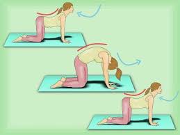 Vicki is going to come on to her hands and knees. Marjariasana Cat Cow Exercise Cat Cow Pose Cat Cow Yoga Pose