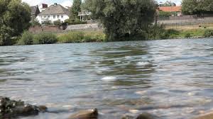 Mogelijk lopen gebieden onder door het hoge water. Omroep Venlo Geen Problemen Verwacht Door Hoogwater Maas