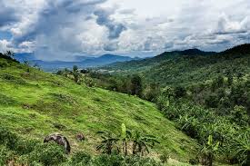 Zur regenzeit von mai bis september regnet es in südthailand vergleichsweise wenig, wodurch die inseln im golf von thailand, wie z.b. Klima Thailand Die Beste Reisezeit Mit Dem Besten Wetter In Thailand