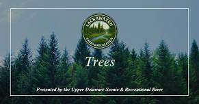 Parks & Recreation "Trees" Nature Program — Lackawaxen