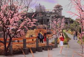 Here is sakura in a before picutre. The Lost World Castle Spot Wisata Bagi Pecinta Selfie Di Jogja Yuk Ajak Temen Kamu Ke Sana