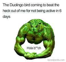 An image tagged duolingo gun,duolingo bird,duolingo. 30 Hilarious Duolingo Memes Bored Panda