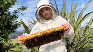 Online Beekeeping Course