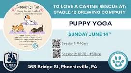 Puppies On Tap Session 2