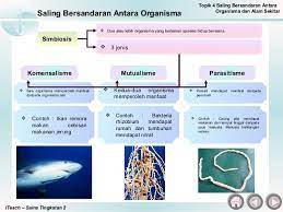 Ekosistem terdiri daripada banyak komuniti (benda hidup) bersama dengan persekitaran bukan hidup seperti air, udara dan cahaya. Bab 4 Saling Bersandaran Antara Organisma Hidup Dengan Persekitaran