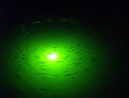 Underwater Dock Lights Attract The Fish Deep Glow Underwater Lighting