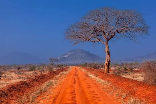 Tsavo West National Park