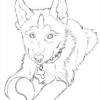 Husky coloring pages best coloring pages for kids 1