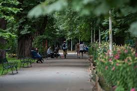 Check spelling or type a new query. O Parte Din Parcul LibertÄÈii IntreÈinutÄ De FundaÈia ComunitarÄ Oradea Bihon