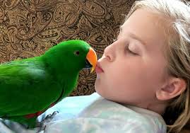 Re sharing . Original post had apparently accidentally been deleted