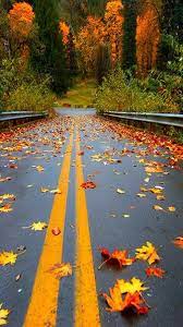 wallpaper 4k for mobile خلفيات موبايل 2019 tecnologis fall colors scenery beautiful fall