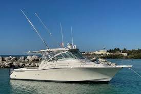 Image result for White 2009 Fleet