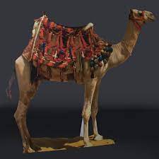 There are two types of camels: Standing Decorated Camel Full Color Life Size Cut Out Anderson S
