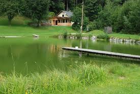 Der alltag im haus auf dem wimberg ist geprägt durch respektvollen umgang und lebensfreude. Naturbadesee St Johann Am Wimberg Ausflugsziel Tipp In Sankt Johann Am Wimberg Oberosterreich