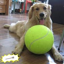 You just need a regular tennis ball and something to poke a hole on it, maybe a screwdriver or a lighter, . Pet Supplies Banfeng Giant 9 5 Dog Tennis Ball Large Pet Toys Funny Outdoor Sports Dog Ball Gift With Inflating Needles Amazon Com