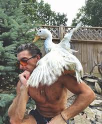 Too Turnt Tony - Controversial OnlyFans