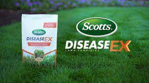 Granules fungus control for lawns (566) model# 701230. How To Prevent And Control Disease In Your Lawn Using Scotts Diseaseex Lawn Fungicide Youtube