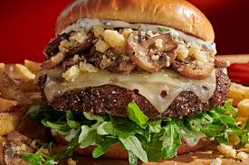 two-yellow-labrador-retriever-puppies