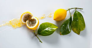 La Recette Du Citron De Cedric Grolet Enfin Devoilee Grolet Presentation Fruits Cedric Grolet Patisserie