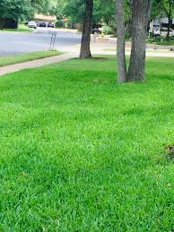 This diy lawn care thing is not so difficult if you educate yourself! Trugreen Reviews 11 Reviews Of Trugreen Com Sitejabber