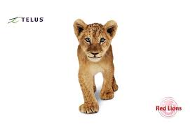Maybe you would like to learn more about one of these? Hd Wallpaper Lions Red Red Lios Animals Other Hd Art Staff Telus Wallpaper Flare