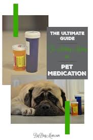 Check out what 342 people have written so far, and share your own experience. How To Save Money On Pet Medications For Big Dogs 2020
