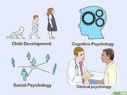 How To Obtain A Basic Knowledge Of Psychology Cognitive Psychology Psychology Psychology Notes