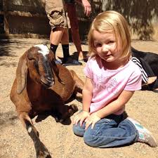 Ropes course and zip line combo: 20 Thrills For Kids At John Ball Zoo Grkids Com