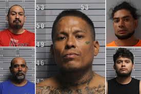 Illegal migrant arrested for peeping in 13-year-old girl's window — with  ICE nabbing 4 others in his home