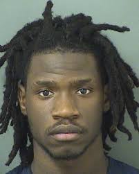 Palm Beach Mug Shots