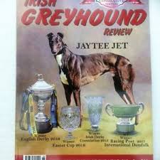 Anatomy Of Greyhound Chart Greyhound Superstore