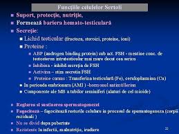 Plantele se hrănesc prin fotosinteză , unele animale se hrănesc ucigând alte animale, unele consumă vegetale, altele cadavre. Aparatul Genital Masculin 1 Aparatul Genital Masculin N